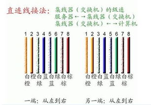 网线接水晶头与信息面板的详细教程 从零开始轻松搞定